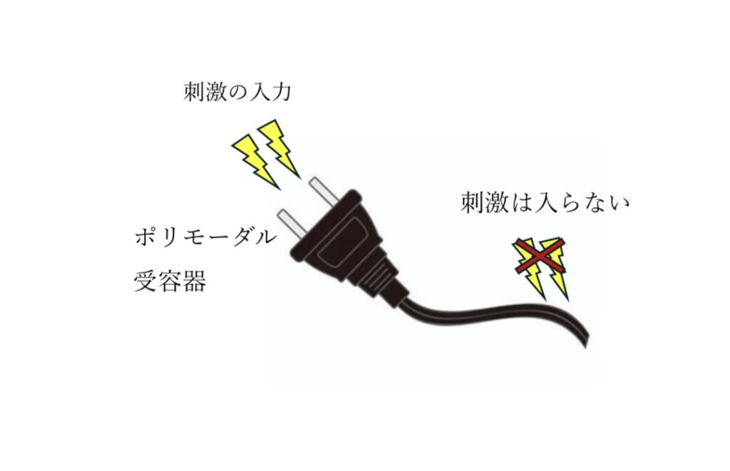 ポリモーダル受容器