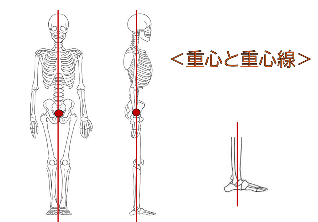 重心と重心線