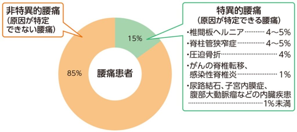 非特異的腰痛